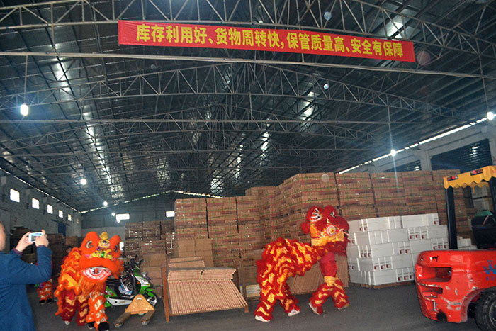 黄瓜视频网站陶新年開工，2017擼起袖子拚命幹！