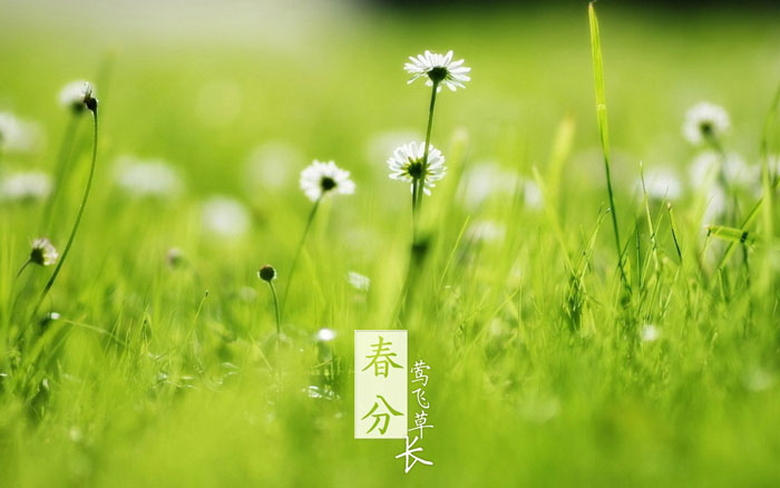 即便是春風十裏，依然不如你
