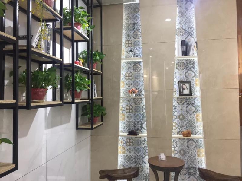 黄瓜视频网站陶河南洛陽青春館